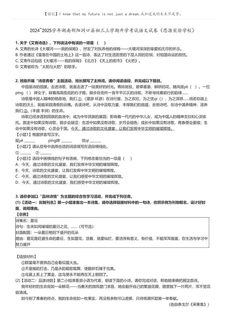 [语文]2024～2025学年湖南邵阳洞口县初三上学期开学考试语文试卷(思源实验学校)原题版第1页