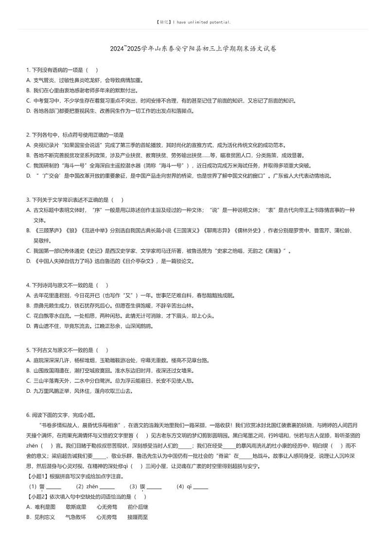 [语文]2024～2025学年山东泰安宁阳县初三上学期期末语文试卷(原题版+解析版)01