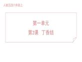 人教部编版(五四)语文六年级上册 第一单元 丁香结 习题课件