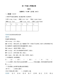 江西省南昌市青山湖区2024-2025学年七年级上学期入学测试语文试题（解析版）