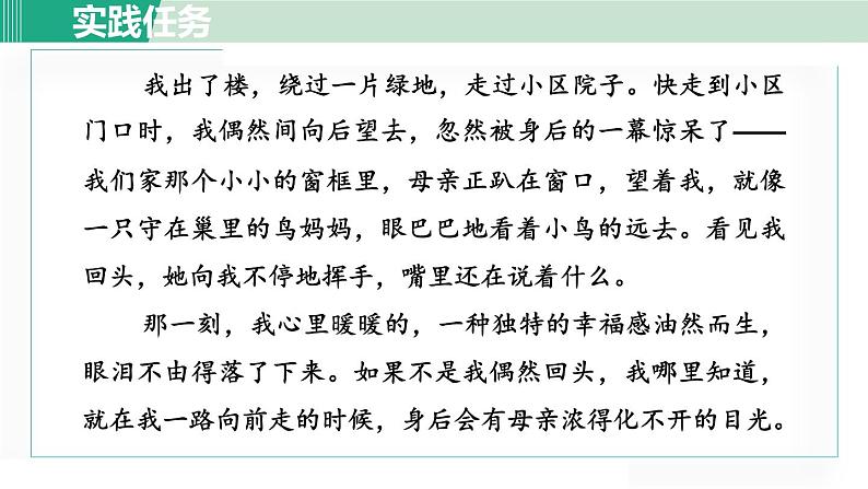 人教版（2024）语文七年级上册 第二单元 阅读综合实践 课件05