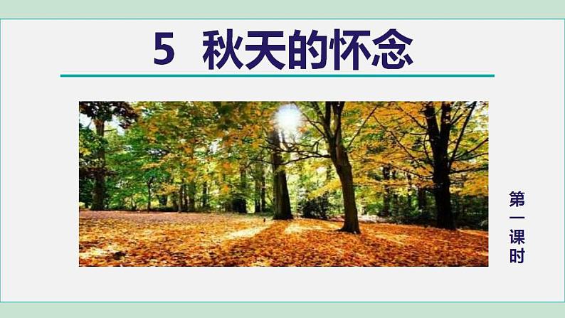 5. 秋天的怀念 第1课时第3页