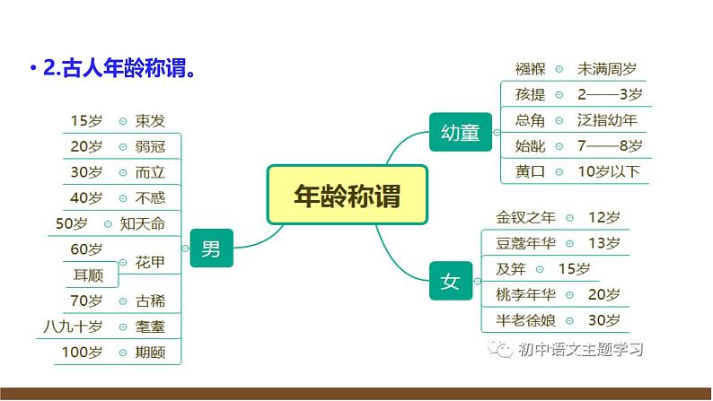 部编语文八上第6单元复习讲义+课件08