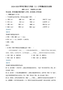 辽宁省辽阳市灯塔市2024-2025学年八年级上学期开学考试语文试题（解析版）