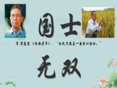 1 邓稼先  课件 初中语文统编2024七年级下册