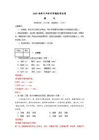 部编版语文九年级开学测试卷1（试卷+答案+解析）