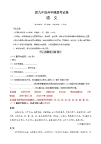 部编版语文九年级开学测试卷2（试卷+答案+解析）