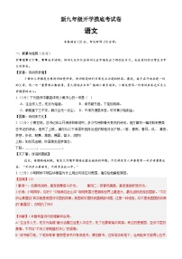 部编版语文九年级开学测试卷7（试卷+答案+解析）