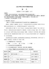 部编版语文九年级开学测试卷10（试卷+答案+解析）