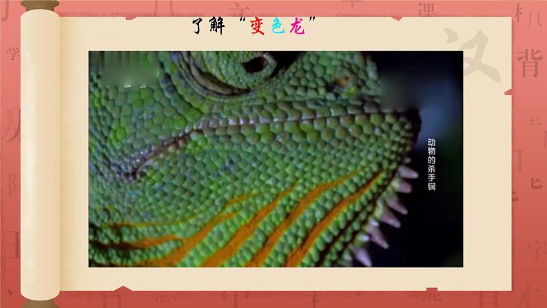 6 变色龙 课件 初中语文统编2024九年级下册第2页