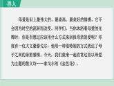 人教版（2024）语文七年级上册 第二单元7 散文诗两首  金色花 课件