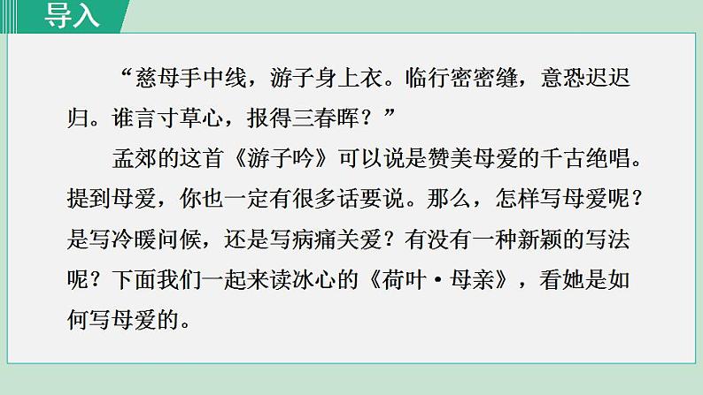 人教版（2024）语文七年级上册 第二单元 散文诗两首 7荷叶·母亲 课件+教案+学案04