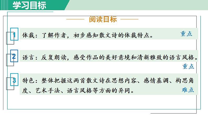 人教版（2024）语文七年级上册 第二单元 散文诗两首 7荷叶·母亲 课件+教案+学案06