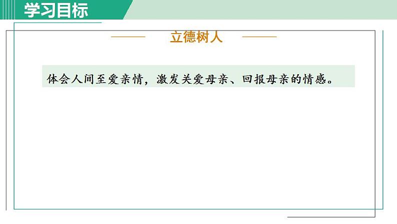 人教版（2024）语文七年级上册 第二单元 散文诗两首 7荷叶·母亲 课件+教案+学案08