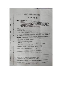 河北省保定市高碑店市2023-2024学年七年级上学期开学语文试题