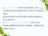 01-专项素养综合全练(一)　病　句课件-2024版.五·四学制人教版.七年级上.语文同步