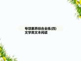 04-专项素养综合全练(四)　文学类文本阅读课件-2024版.五·四学制人教版.七年级上.语文同步