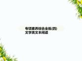 04-专项素养综合全练(四)　文学类文本阅读课件-2024版.五·四学制人教版.七年级上.语文同步