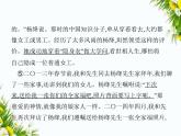 04-专项素养综合全练(四)　文学类文本阅读课件-2024版.五·四学制人教版.七年级上.语文同步
