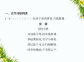 06-专项素养综合全练(六)　古诗文阅读课件-2024版.五·四学制人教版.七年级上.语文同步
