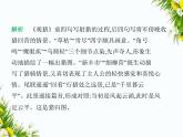 06-专项素养综合全练(六)　古诗文阅读课件-2024版.五·四学制人教版.七年级上.语文同步