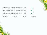 07-专项素养综合全练(七)　综合性学习课件-2024版.五·四学制人教版.七年级上.语文同步