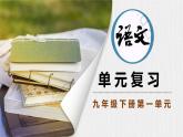 部编语文九下第一单元复习讲义+课件