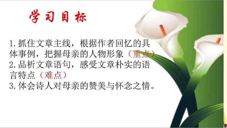 统编版语文八年级上册第7课《回忆我的母亲》课件03