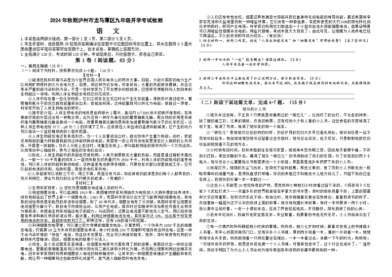 四川省泸州市龙马潭区两校联考2024-2025学年九年级上学期开学语文试题第1页