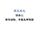 任務(wù)二親近動(dòng)物，豐富生命體驗(yàn) 課件 2024-2025學(xué)年統(tǒng)編版語(yǔ)文七年級(jí)上冊(cè)（2024）