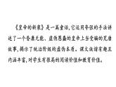 22 皇帝的新装 课件2024-2025学年统编版语文七年级上册（2024）