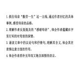 14.回忆我的母亲  课件 2024-2025学年统编版语文七年级上册（2024）
