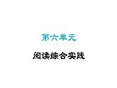 第六单元阅读综合实践 课件2024-2025学年统编版语文七年级上册（2024）
