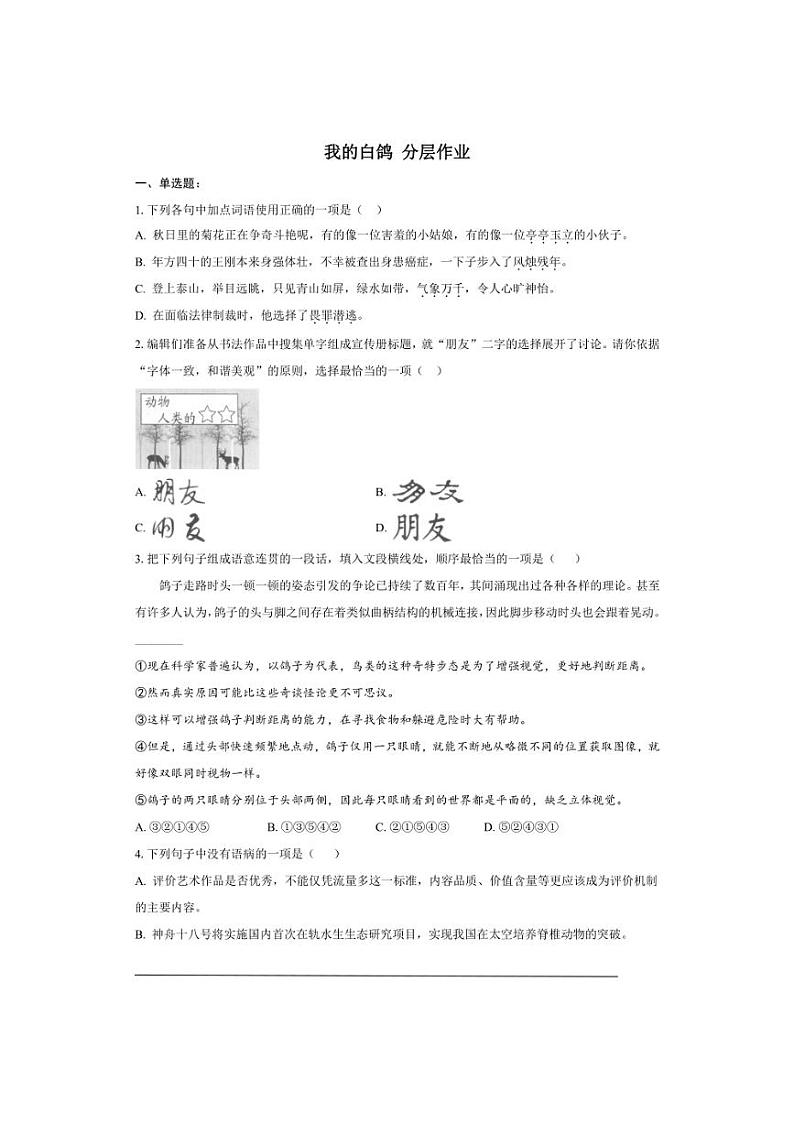 七年级上册 第五单元 我的白鸽 同步分层作业（含答案解析）01