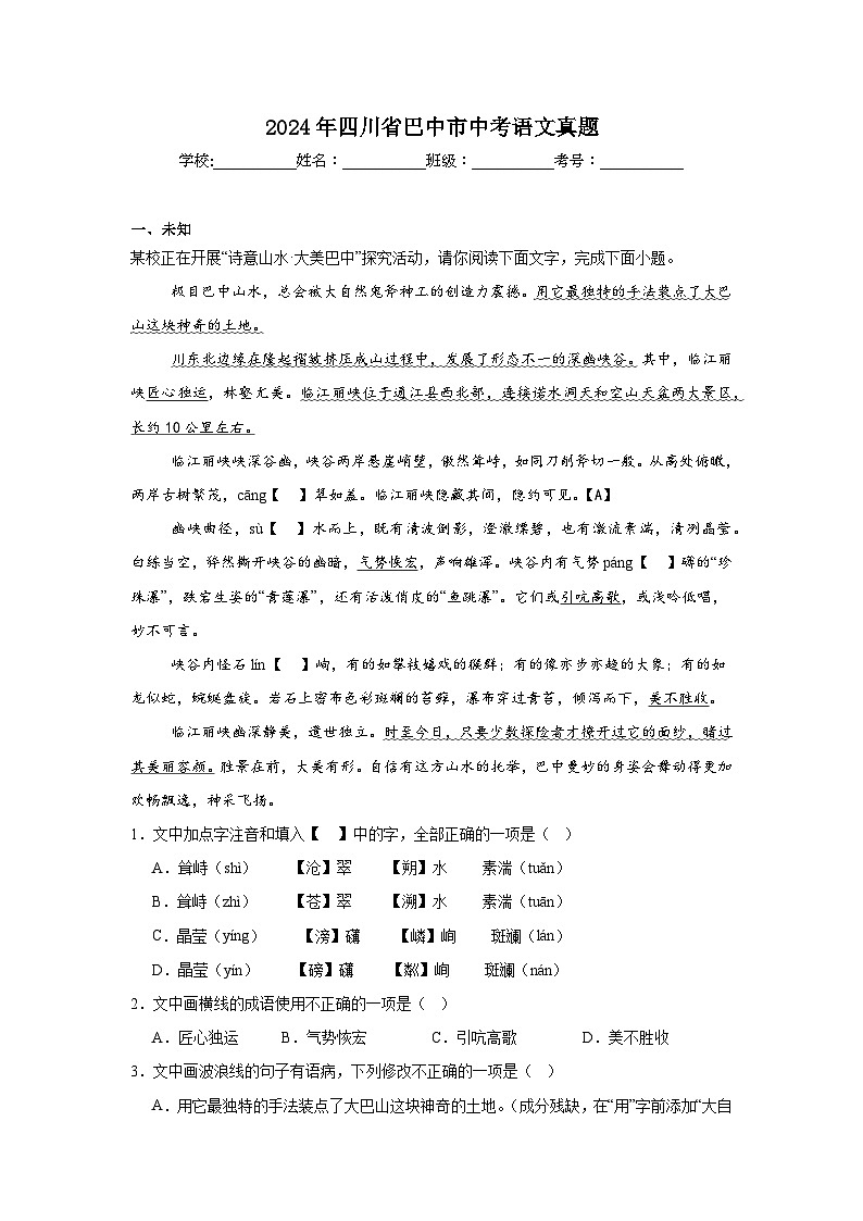 2024年四川省巴中市中考语文真题01