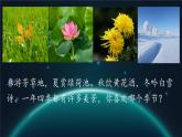 2 济南的冬天  课件  统编初中语文2024七年级上册
