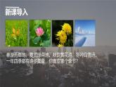 2 济南的冬天 课件 初中语文统编2024七上