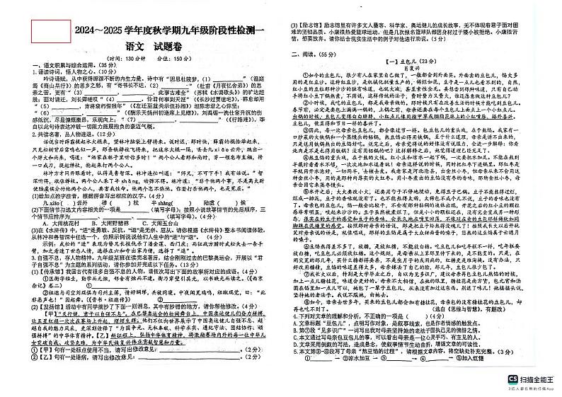安徽省六安市外国语学校2024-2025学年九年级上学期开学诊断语文试题01
