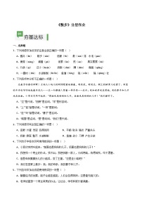 初中语文人教部编版（2024）七年级上册散步达标测试