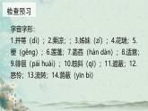 第7.2课 《荷叶·母亲》：清水出芙蓉，母爱无需饰（课件）-【大单元教学】2024-2025学年七年级语文上册同步备课系列（统编版2024）