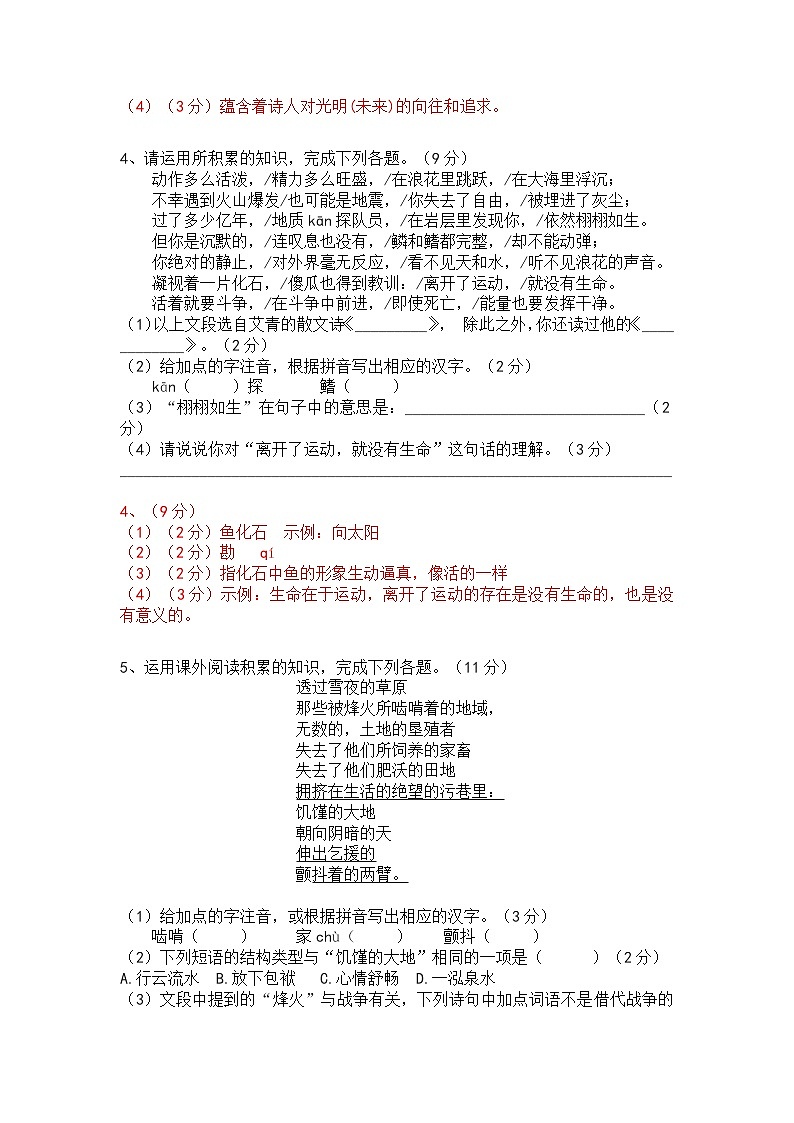 人教部编版九上（中考）语文名著阅读《艾青诗选》梯度训练203