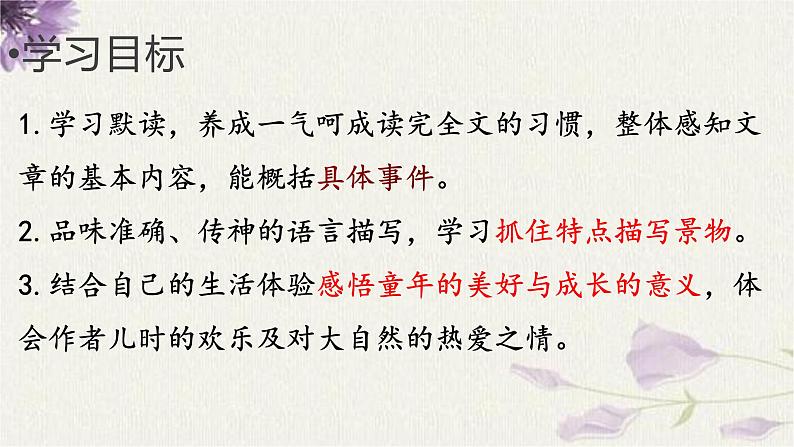 统编版语文七年级上册（2024）第9课《从百草园到三味书屋》（课件）05
