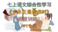初中语文人教部编版（2024）七年级上册（2024）少年正是读书时课堂教学ppt课件