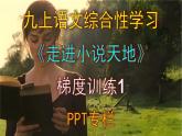 人教部编版九上语文综合性学习《走进小说天地》梯度训练1 PPT版