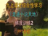 人教部编版九上语文综合性学习《走进小说天地》梯度训练2 PPT版