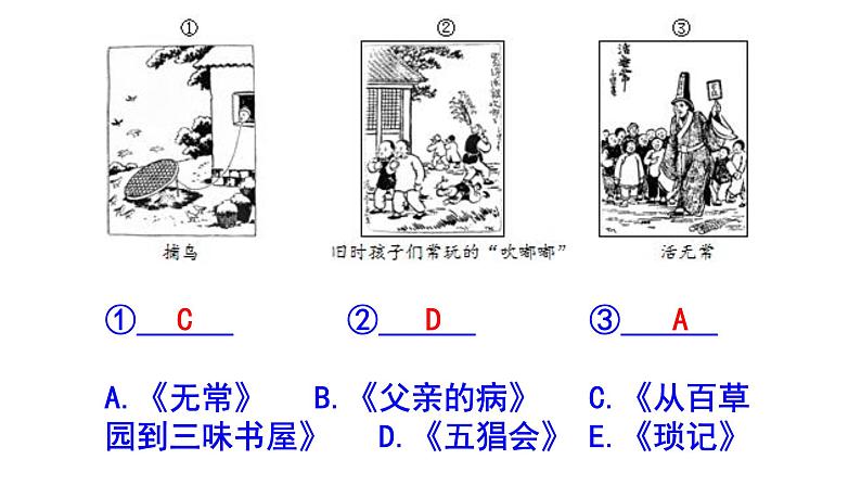 人教部编版七上（中考）语文名著阅读《朝花夕拾》梯度训练1 PPT版第4页