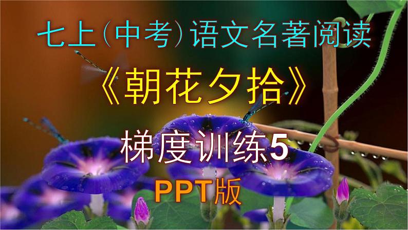 人教部编版七上（中考）语文名著阅读《朝花夕拾》梯度训练5 PPT版第1页
