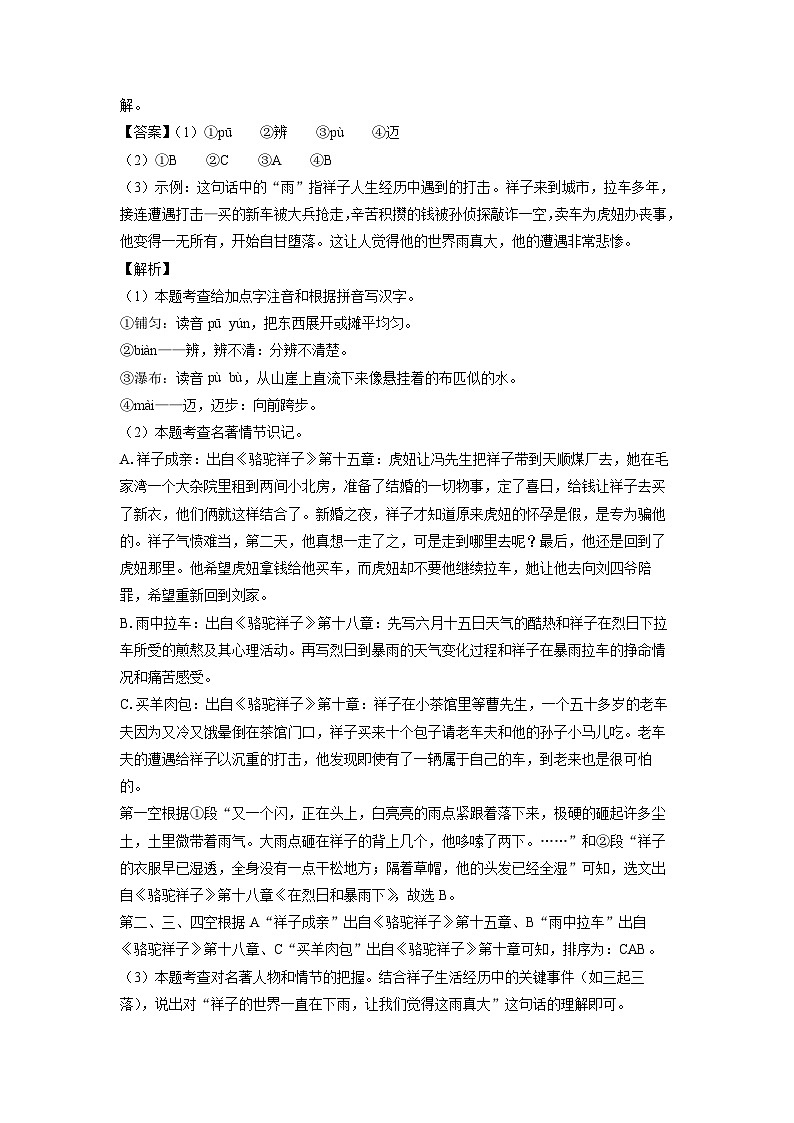 [语文][二模]安徽省阜阳市2024年中考试题(解析版)02