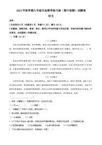 广西壮族自治区梧州市苍梧县2023-2024学年九年级上学期期中语文试题（解析版）