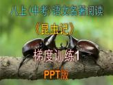 人教部编版八上语文名著阅读《昆虫记》梯度训练1 PPT版